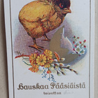 Tipu, kullattu munankuori ja pikkukukkia, pikkupk, k. k-k - pikkukuva 1