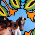 Schleich lipizzan varsa - pikkukuva 2