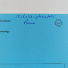 Rauno Pääkkönen : Low-Frequency Impulse Noise and Its Att... - pikkukuva 3