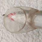 Rapala Original muikku vaappu - pikkukuva 3