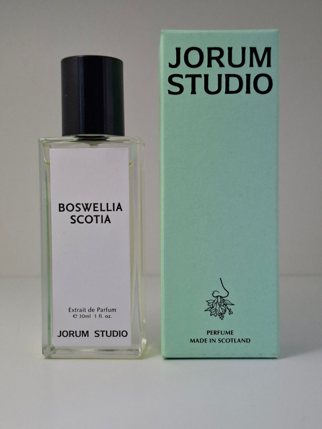 Jorum Studio - Boswellia Scotia