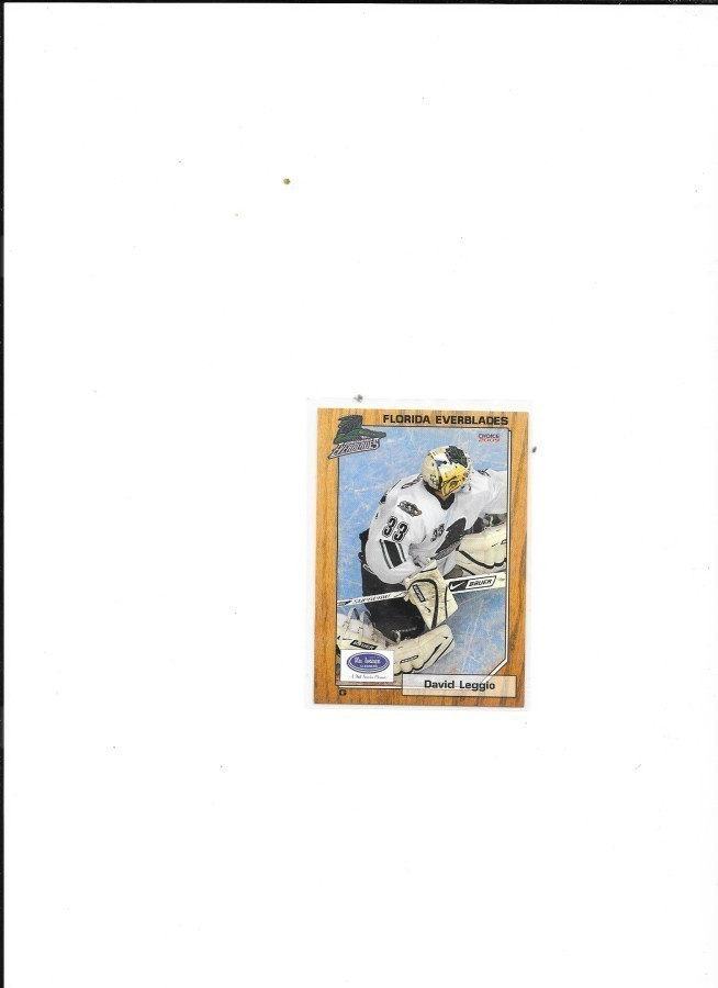 2008-09 Florida Everblades #6 David Leggio ex- TPS MV