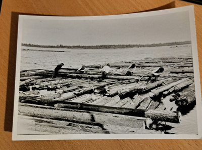 Tukinuitto Iijoella, ristilautta, kuva vuodelta 1905