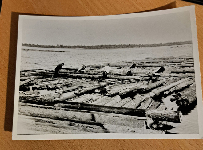Tukinuitto Iijoella, ristilautta, kuva vuodelta 1905
