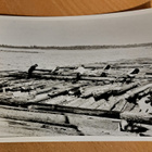 Tukinuitto Iijoella, ristilautta, kuva vuodelta 1905 - pikkukuva 1