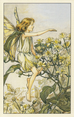 Cicely Mary Barker: Kukkakeijut saksankärhö