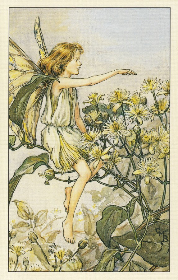 Cicely Mary Barker: Kukkakeijut saksankärhö