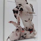 Jane Burton : Puppies : Wet noses and fuzzy bellies - pikkukuva 1