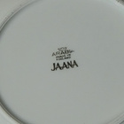10 kpl Arabia Jaana pullalautaset  - kakkulautaset - pikkukuva 3