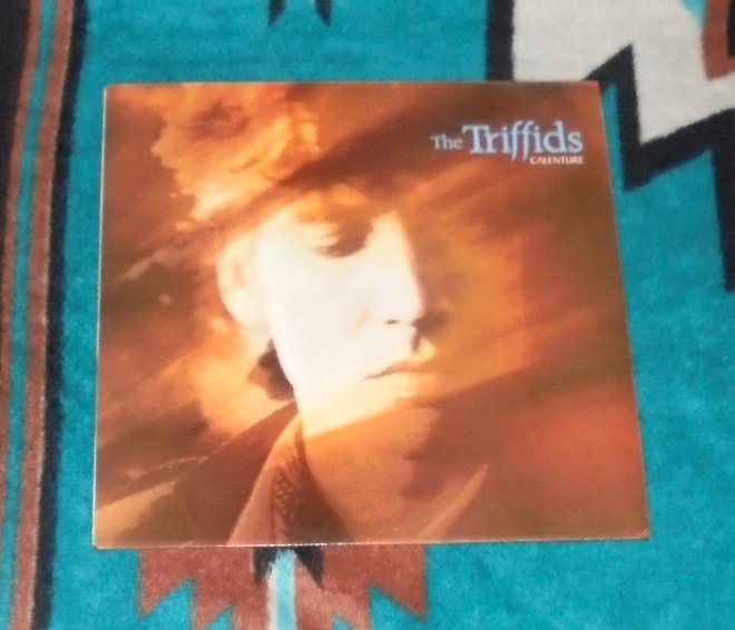 THE TRIFFIDS Calenture ~ LP Ex/Ex Scandinavian painos