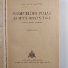 Louisa M. Alcott : Plumfieldin pojat ja mitä heistä tuli - pikkukuva 3