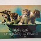 "Kissanpentuja"-KULKEMATON POSTIKORTTI - pikkukuva 1