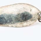 Lohilappu, Verkko 22, 7.2cm, 12.6g - pikkukuva 2