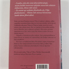 Paula Havaste : Morsiusmalja - pikkukuva 2