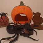 Koristeita Halloween kurpitsa myrkkylasit tekoverta - pikkukuva 3