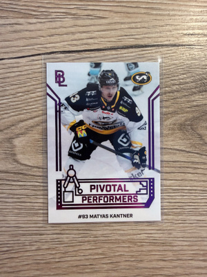 Blueline 26-27 Pivotal purple Kantner Kärpät