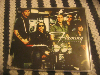 Flaming Sideburns - Lost Generation (cds)