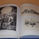 Aares Salli : Sallasta Karjalankannakselle - pikkukuva 2