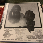 SEPTIC DEATH: Now That I Have The Attention ... *UK 1986 - pikkukuva 2