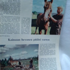 Pellervo No 7 huhtikuu 1961 - pikkukuva 4