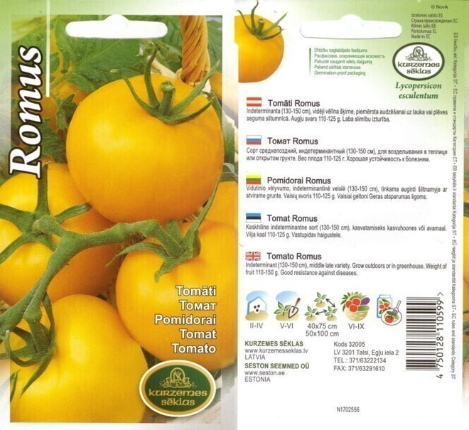Tomaatti "Romus" siemenet #