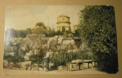 Helsinki, Tähtitorninmäki, mies lammikon luona, k-k 1916