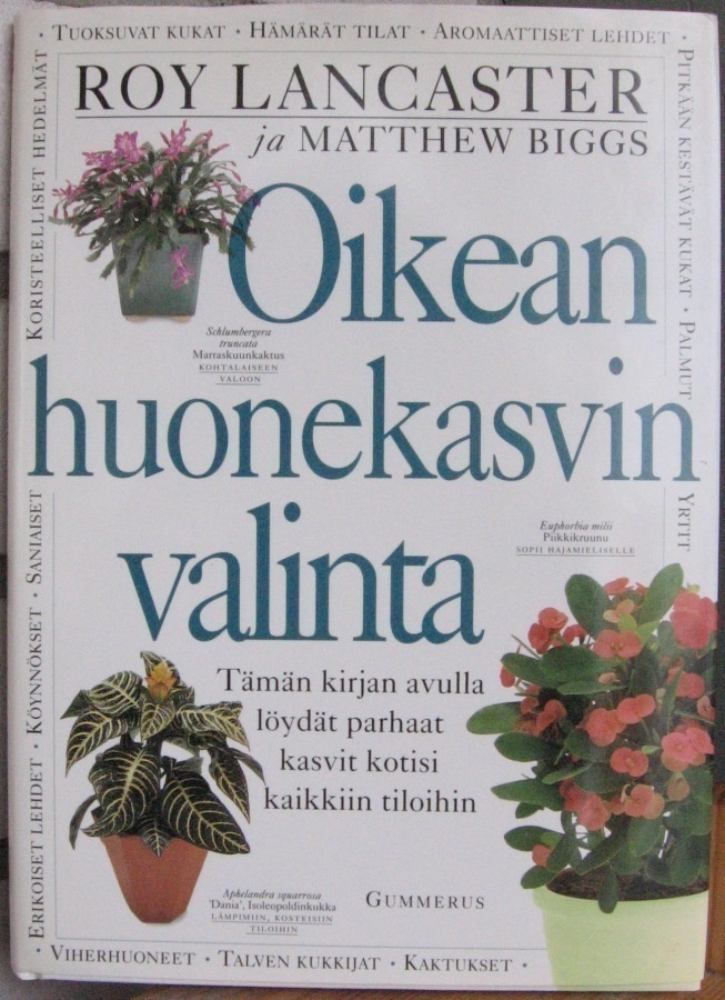 Lancaster & Biggs: Oikean huonekasvin valinta.