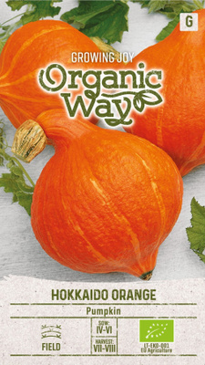 Jättikurpitsa "Hokkaido Orange" - siemenet #