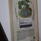 Elsa Beskowin satuja - valikoima ( 1.p. 1982 k.po ) - pikkukuva 2