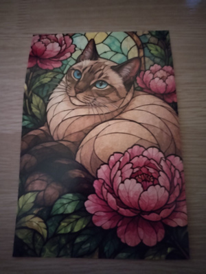 Kissa kortti, kulkematon.