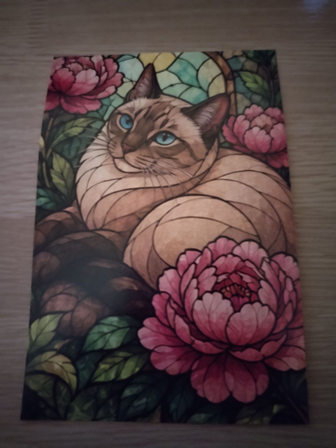 Kissa  kortti, kulkematon.