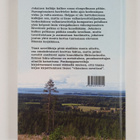 Pentti O. Hurskainen : Elämän kerjäläinen - pikkukuva 2