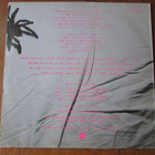 The Flyin' Spiderz – The Flyin' Spiderz (RARE punk-LP, sexy) - pikkukuva 3