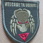 Ukraina: hihamerkki "Welcome to Ukraine" - pikkukuva 1