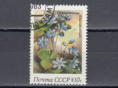 Neuvostoliitto 1983 Mi 5280 Common Hepatica (sinivuokko)