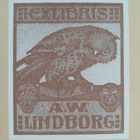 Erich Ludendorff : Mina minnen från kriget 1914-1918 : 1-2 - pikkukuva 3