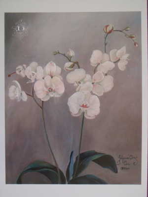 Johanna Oras "Valkoisia unelmia"