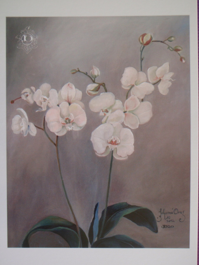 Johanna Oras "Valkoisia unelmia"