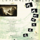 Annabel Lamb - Brides LP - pikkukuva 2