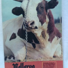 Pellervo No 16 lokakuu 1970 - pikkukuva 1