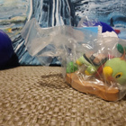 Pokemon Mystery Dungeon Turtwig - pikkukuva 1