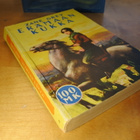 Zane Grey: Erämaan kukka, pokkari - pikkukuva 1