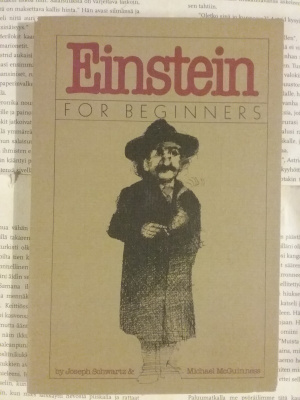 Schwartz & McGuinness - Einstein for Beginners (softcover)