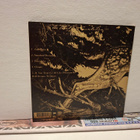 Third Eye Foundation:The Dark CD - pikkukuva 2