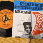 Fats Domino sinkku - pikkukuva 2