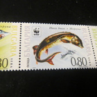Bulgaria 2004: eurooppalainen sampi rivilö - pikkukuva 4