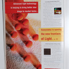 Scientific american vuosikerta 2005 (1-12) - pikkukuva 2