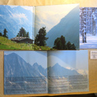 GOLDFRAPP: Felt mountain LP (Kultavinyyli, vihko, Gatefold) - pikkukuva 3