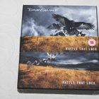 David Gilmour - Rattle that Lock (Pink Floyd) CD + DVD - pikkukuva 1