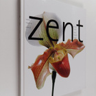 Ove Pihl : Zent touches of India : Colours, Fragrances, T... - pikkukuva 1